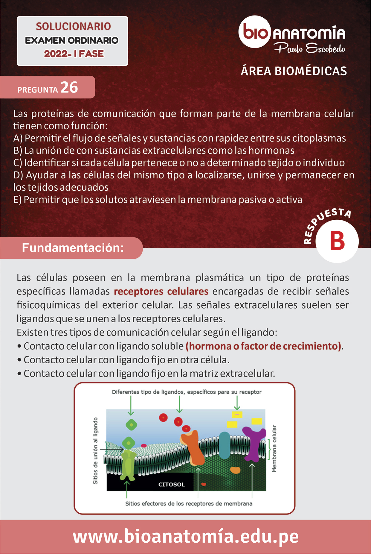 Solucionario Biologia Unsa Biomedicas Fase I Octubre