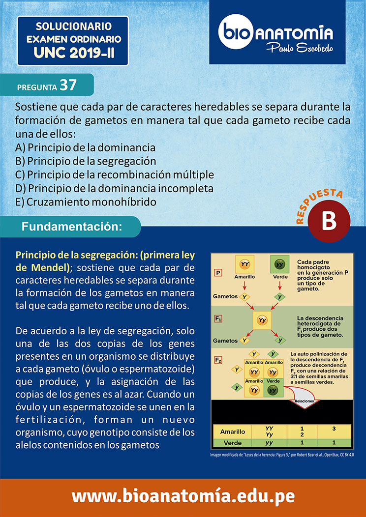 ZP: SOLUCIONARIO EXAMEN DE ADMISIÓN UNC 2019 - II - Paulo Escobedo