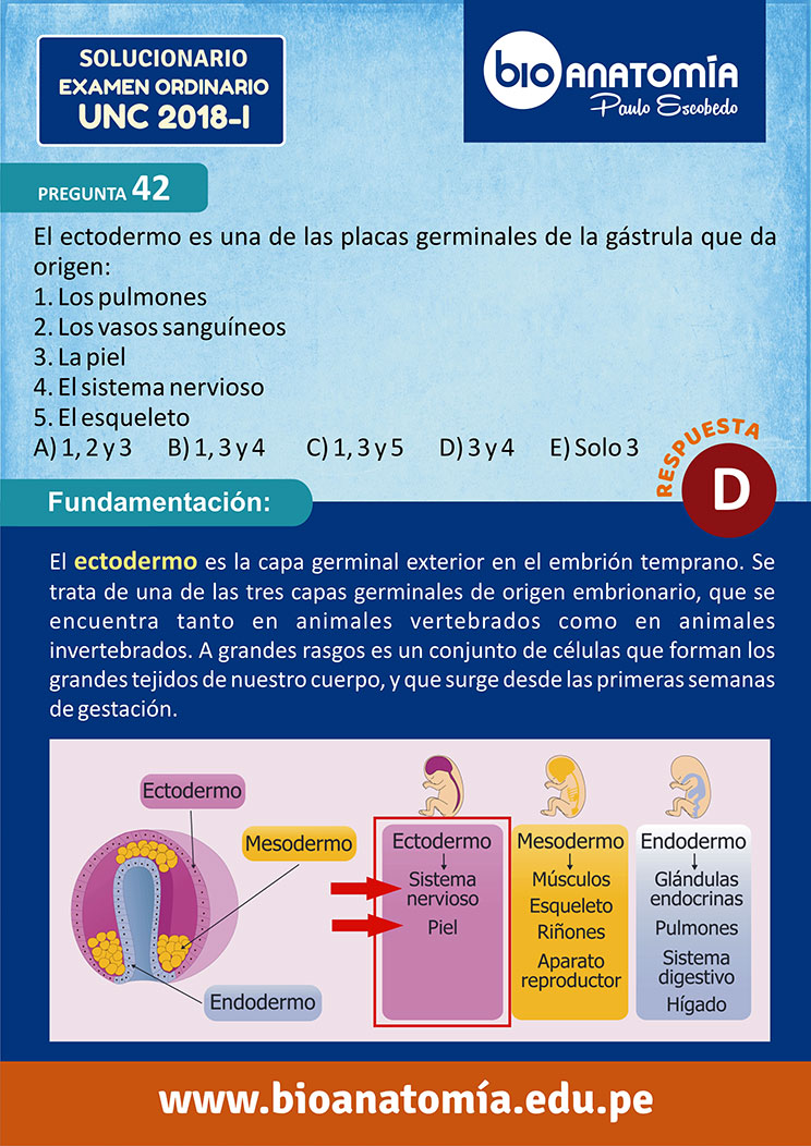 ZP: SOLUCIONARIO EXAMEN DE ADMISIÓN UNC 2018 – I - Paulo Escobedo