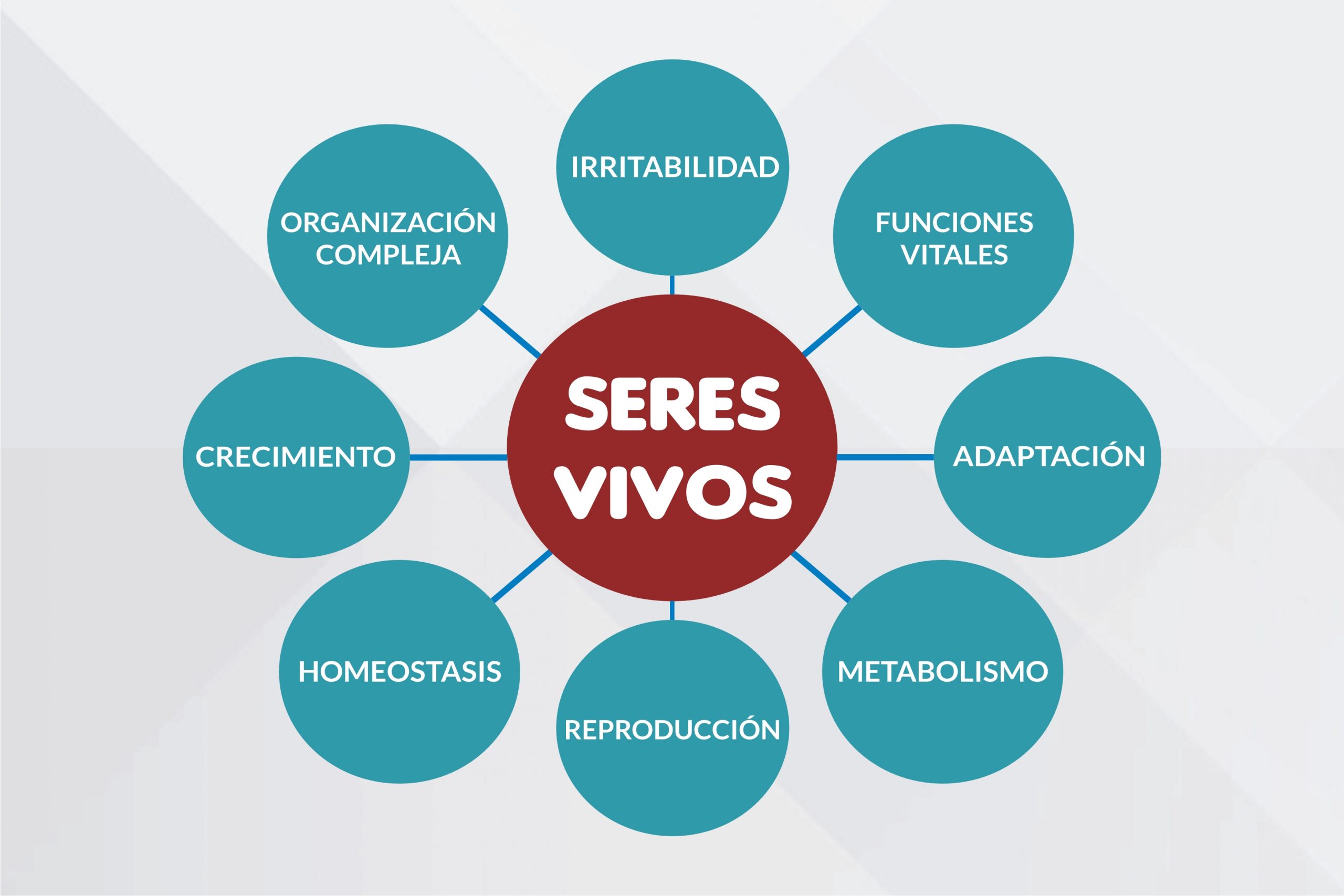 ZP: IMÁGENES - CARACTERÍSTICAS DE LOS SERES VIVOS - Paulo Escobedo