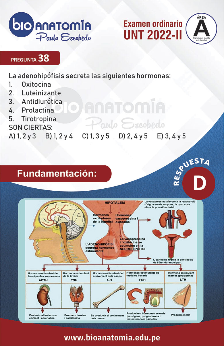 SOLUCIONARIO FUNDAMENTADO EXAMEN UNT 2022-II ÁREA "A" (7 ABRIL DEL 2022 ...