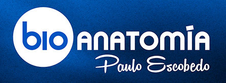 logo perfil 2 web