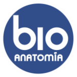 logo encabezado bioanatomia